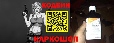 индика Камень-на-Оби