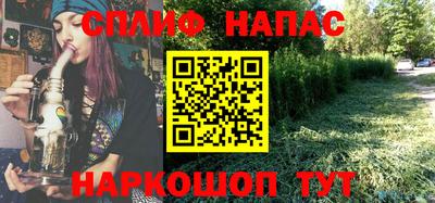 индика Камень-на-Оби