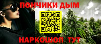 индика Камень-на-Оби