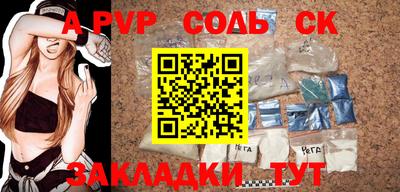 индика Камень-на-Оби