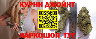 индика Камень-на-Оби