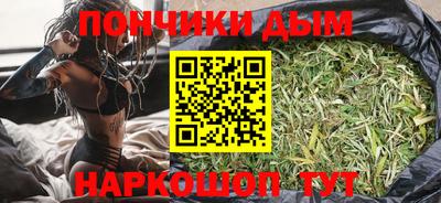 индика Камень-на-Оби