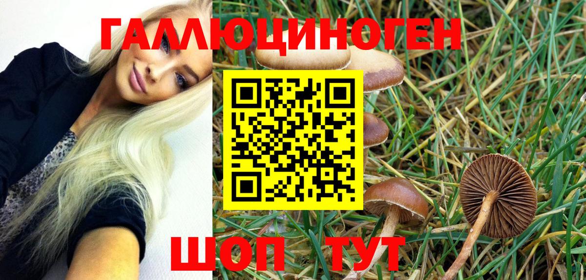 Псилоцибиновые грибы MAGIC MUSHROOMS  Вход с VPN  Искитим  Псилоцибиновые грибы Cubensis 