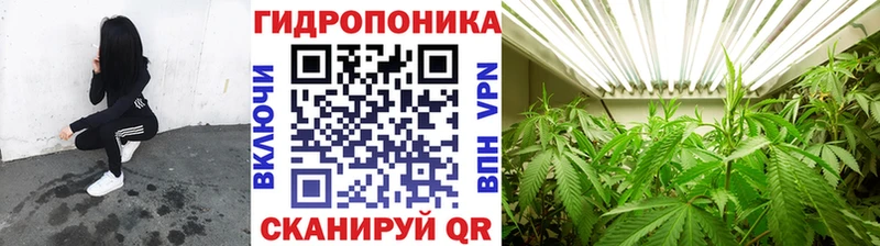 Бошки марихуана индика  Искитим 